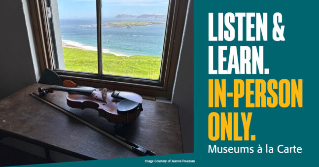 Fiddle on a window sil