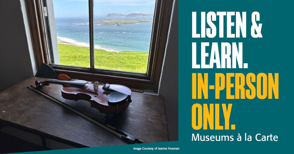 Fiddle on a window sil