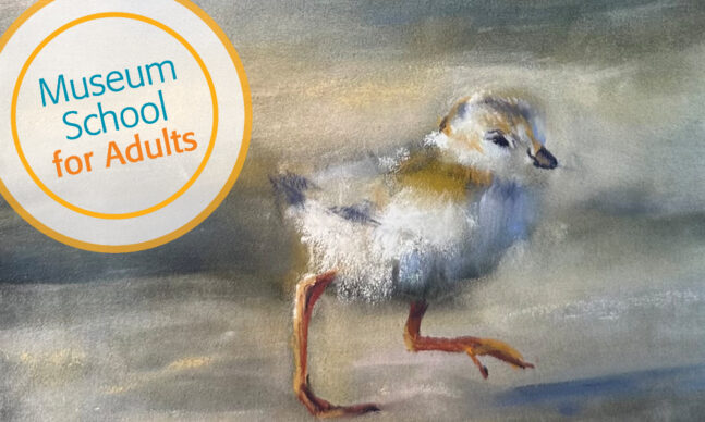 small bird rendered in pastel