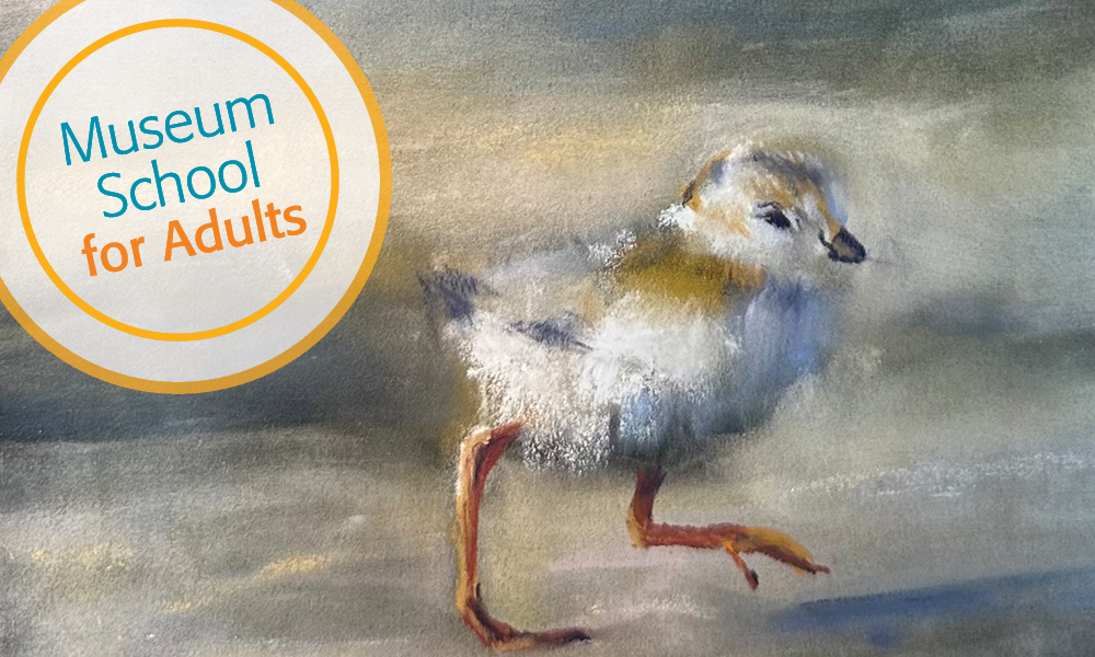 small bird rendered in pastel