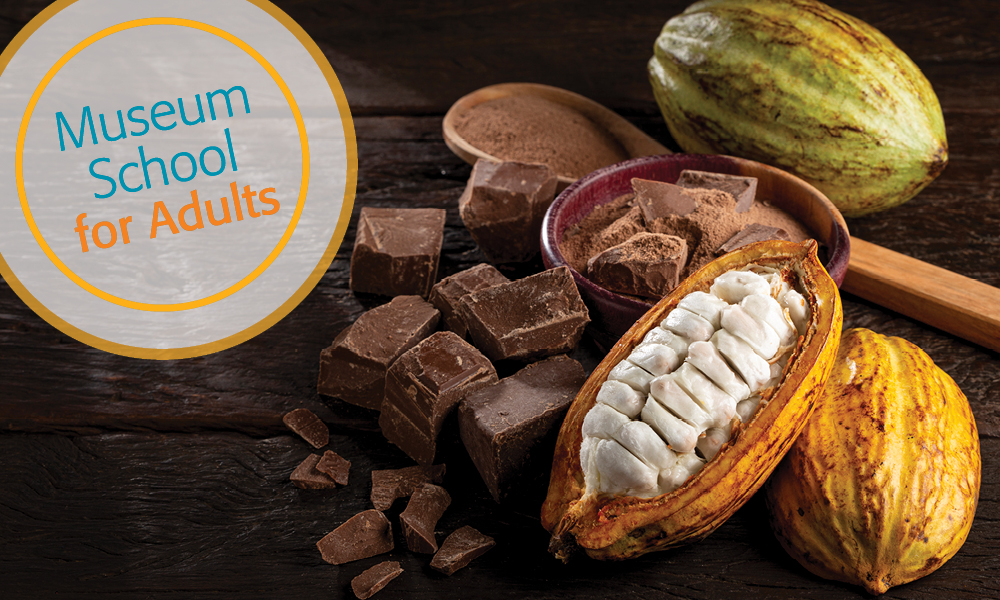 Cocoa with chocolate pieces and chocolate powder on the table.