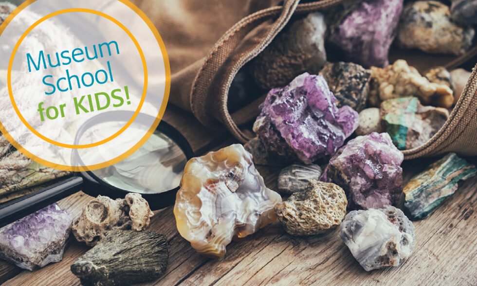 various rocks and minerals