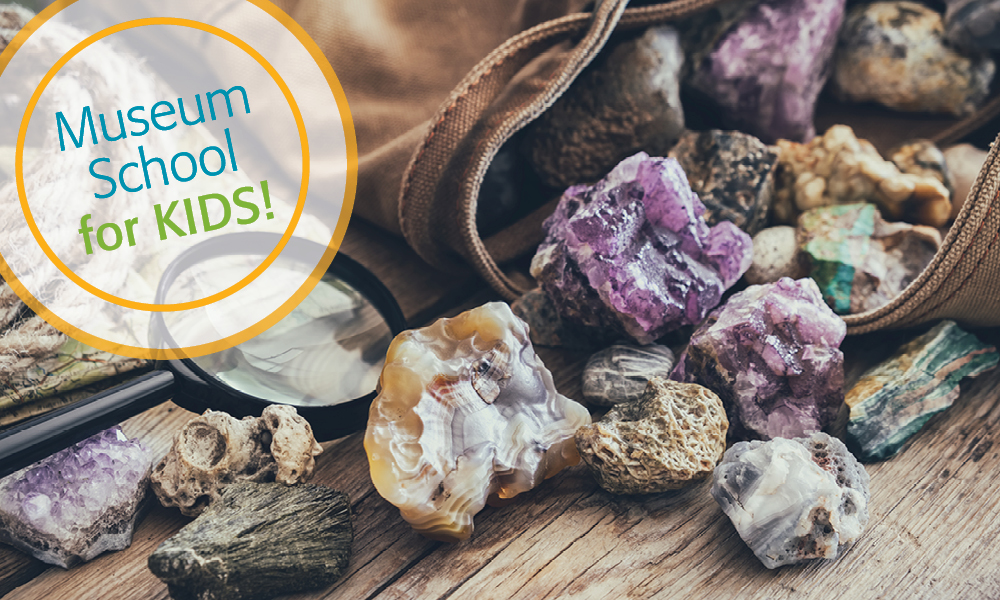 various rocks and minerals