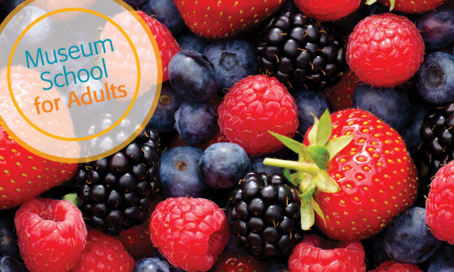close up mix of strawberries, blueberries, blackberries and raspberries
